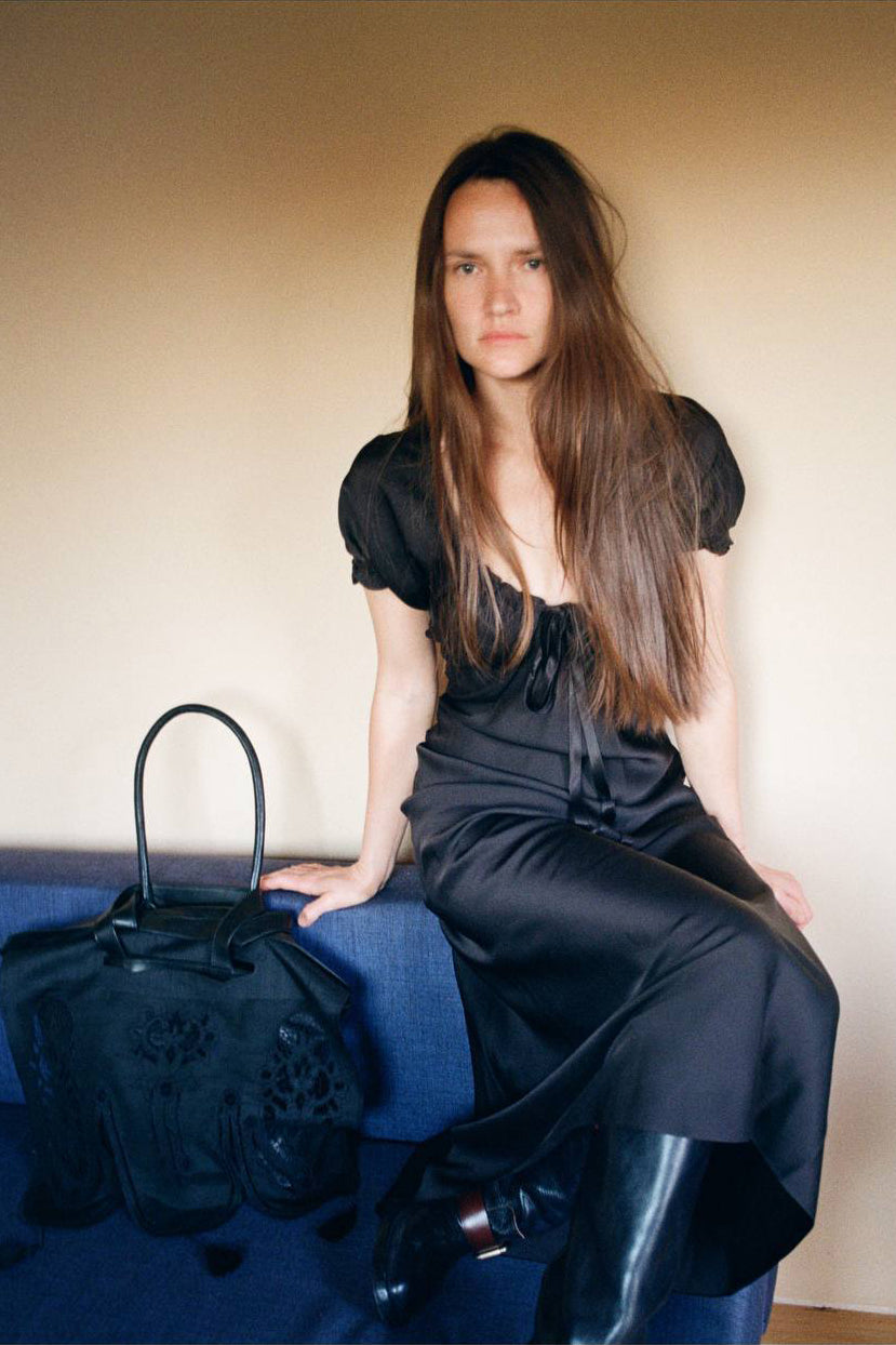 ШОВКОВИЙ МЕТЕЛИК